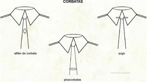 Corbata (Diccionario visual)