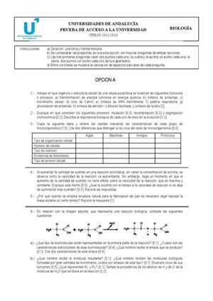 Examen de Selectividad: Biología. Andalucía. Convocatoria Junio 2013