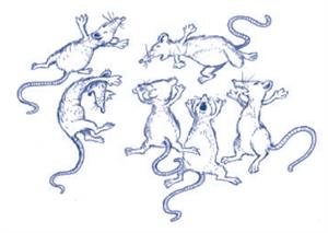 Los ratones patas arriba. Pregunta liberada TIMSS-PIRLS de comprensión lectora