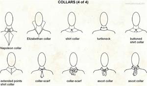 Collars 4  (Visual Dictionary)