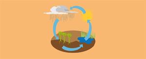 El ciclo del agua.  Actividad de Medio Ambiente para niños de 4 a 7 años