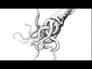 Como dibujar un calamar