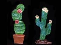 Suculentas.es, plantas suculentas y Cactus
