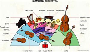 Symphony orchestra  (Visual Dictionary)
