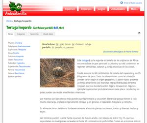 Tortuga leopardo (Geochelone pardalis)