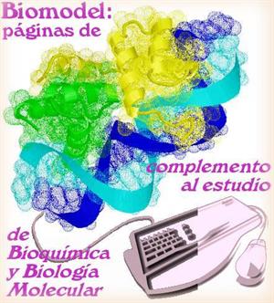 Biomodel: recursos educativos de Bioquímica y Biología Molecular