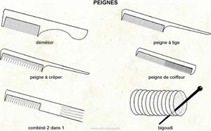 Peignes (Dictionnaire Visuel)