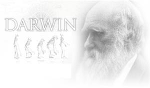 Darwin, el padre de la evolución