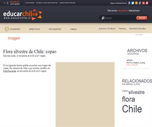 Flora silvestre de Chile: copao (Educarchile)