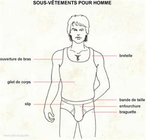 Sous-vêtements homme (Dictionnaire Visuel)