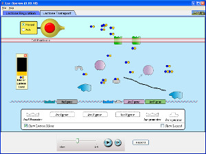 Máquina de genes: Lac Operon, construye una red de genes (phet.colorado.edu)