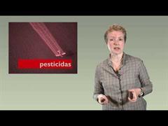 Xeneralidades sobre pesticidas