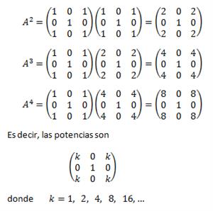 Álgebra Matricial (Matrices y Sistemas de Ecuaciones Lineales)