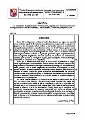 Examen de Selectividad: Lengua castellana y su literatura. Castilla y León. Convocatoria Junio 2014