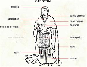 Cardenal (Diccionario visual)