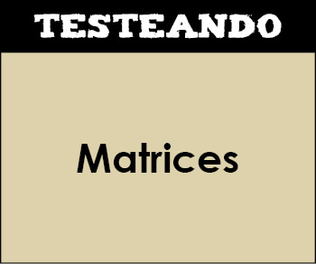 Matrices. 2º Bachillerato - Matemáticas (Testeando)