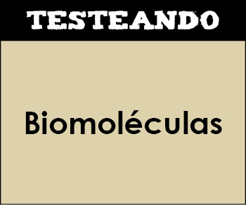 Biomoléculas. 2º Bachillerato - Biología (Testeando)