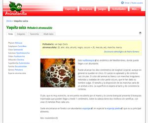 Vaquita suiza (Peltodoris atromaculata)