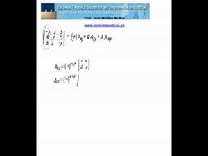 Cálculo de un determinante de orden 3 por una columna
