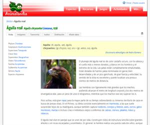 Águila real (Aquila chrysaetos ) - Didactalia: material educativo