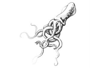 Dibujando un calamar