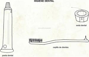 Higiene dental (Diccionario visual)
