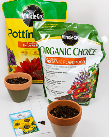 Do Plants Grow Best In Chemical Fertilizer, Organic Fertilizer, Or No Fertilizer?