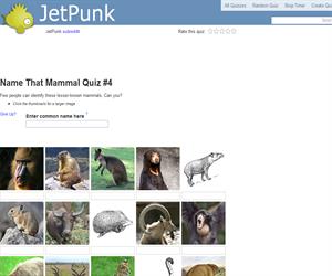 Name That Mammal Quiz 4