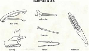 Hairstyle 2  (Visual Dictionary)