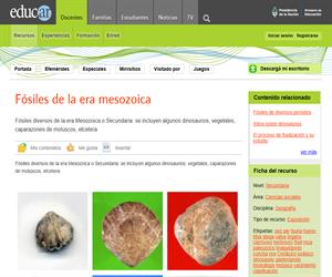 Fósiles de la era mesozoica
