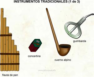 Instrumentos tradicionales (Diccionario visual)
