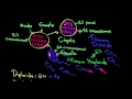 Mitosis, meiosis y reproducción sexual (Khan Academy Español)