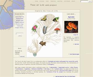 Tree of Life, una imponente colección de información sobre biodiversidad