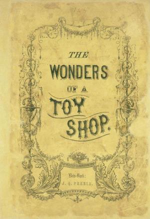 The wonders of a toy shop (International Children's Digital Library)
