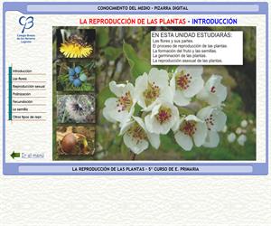 La reproducción de las plantas – Conocimiento del medio – 3º Ciclo de E. Primaria – Unidad didáctica.
