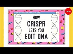 Como o CRISPR permite editar ADN