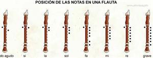 Notas en una flauta (Diccionario visual)