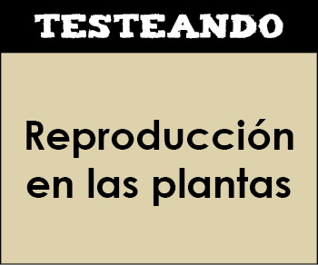 La reproducción en las plantas. 1º Bachillerato - Biología (Testeando)