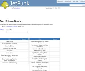 Top 18 Horse Breeds