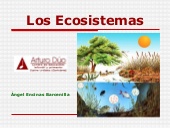 Los ecosistemas por Ángel Encinas Barcenillas