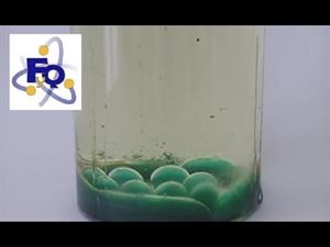 Experimentos de Física y Química (flotabilidad y densidad): Deshielo Verde