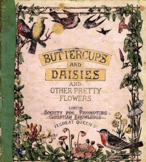 Buttercups and daisies and other pretty flowers (International Children's Digital Library)