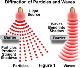 Light: Particle or a Wave? (micro.magnet.fsu.edu)
