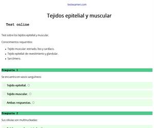 Test: tejidos epitelial y muscular