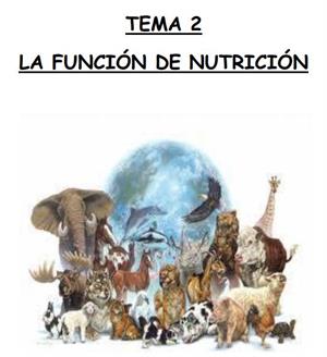 La función de nutrición (unidad didáctica)