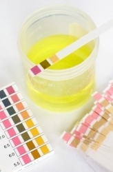 Testing pH Levels in Everyday Foods and Household Products