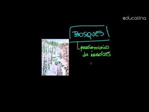 Biosfera: Biomas - Parte I