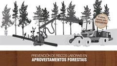 Prevención de riscos laborais en aproveitamentos forestais