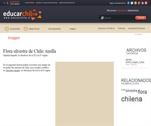 Flora silvestre de Chile: tunilla (Educarchile)