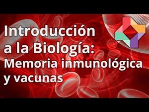 Memoria inmunológica y vacunas